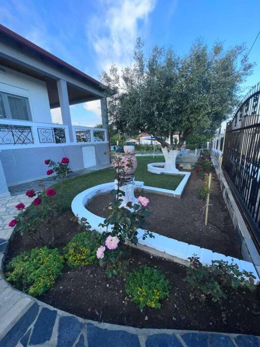 Vergia Villa Fabiola מראה חיצוני תמונה